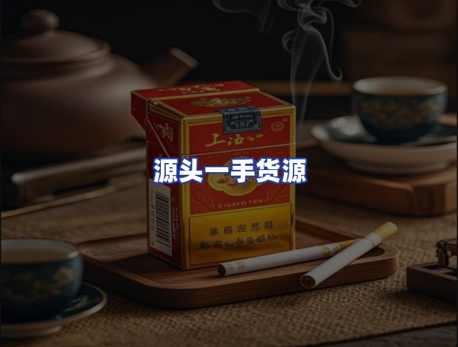 专业团队
